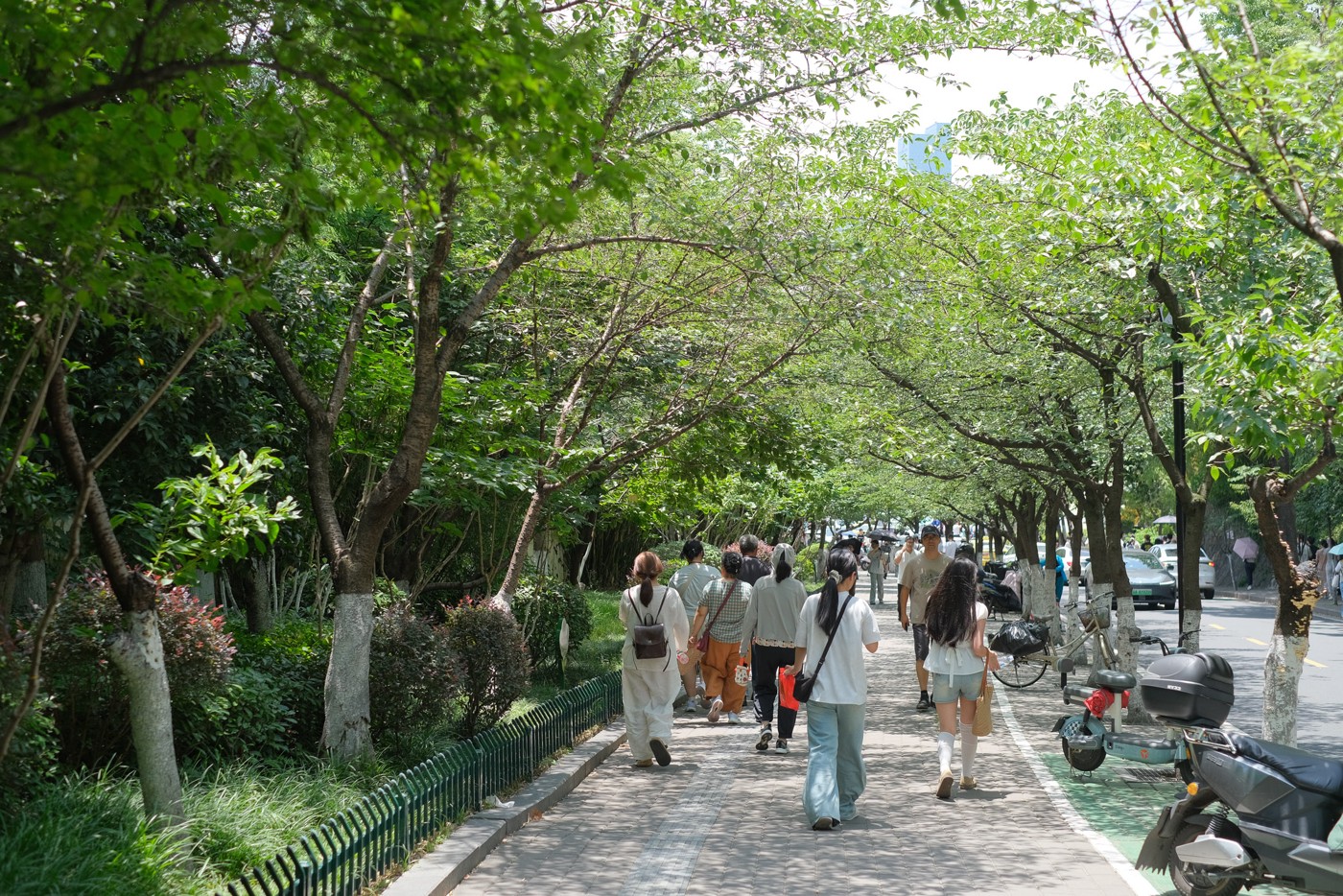 DSCF5999.jpg