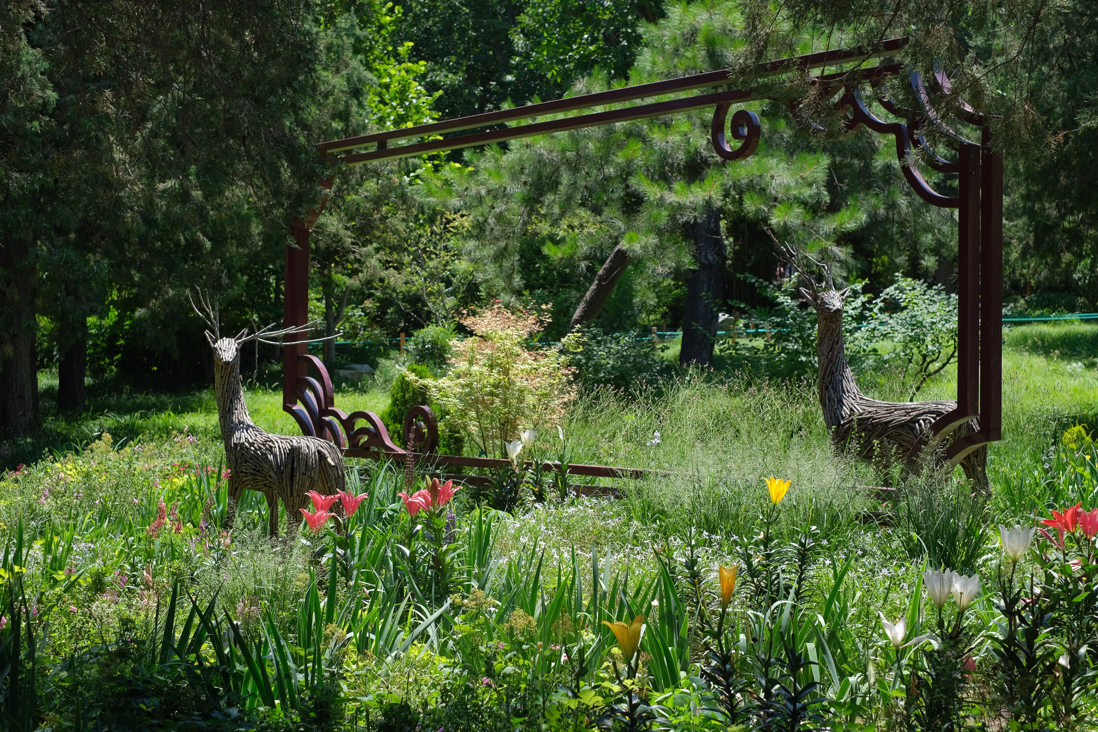 DSCF6078.avif