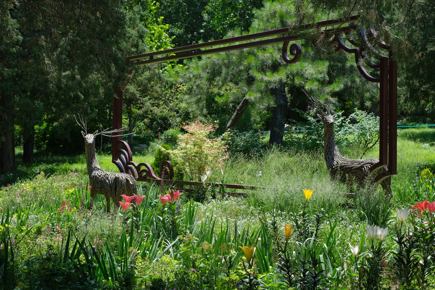 DSCF6078.jpg