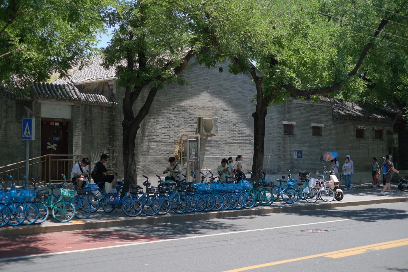 DSCF6081.jpg