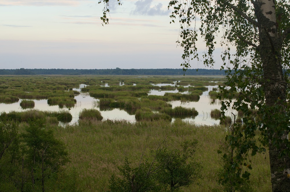 Skats no Kaņiera pilskalna torņa